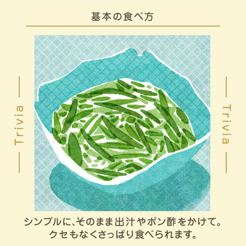 きょうの豆知識