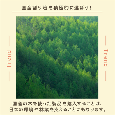 きょうの豆知識