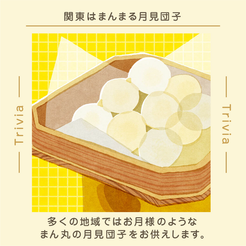 きょうの豆知識