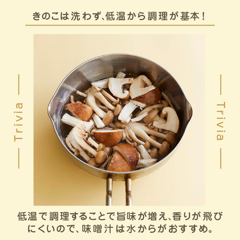 つきのこ様への専用確認 きのこ様 確認用 ☆きのこ様 専用☆ ♡キノコ様ご確認♡（きのこ