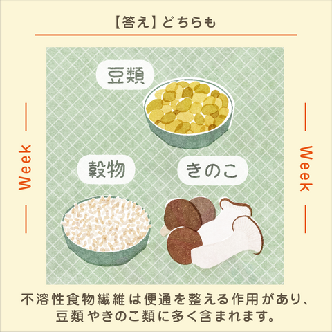 きょうの豆知識