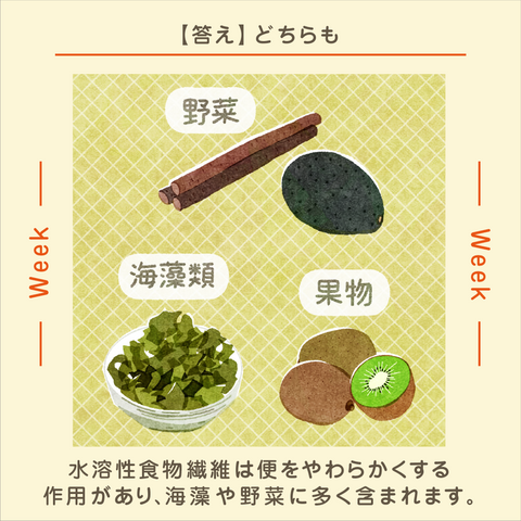 きょうの豆知識