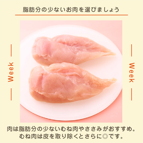 きょうの豆知識