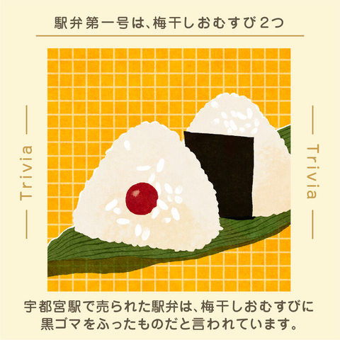 きょうの豆知識