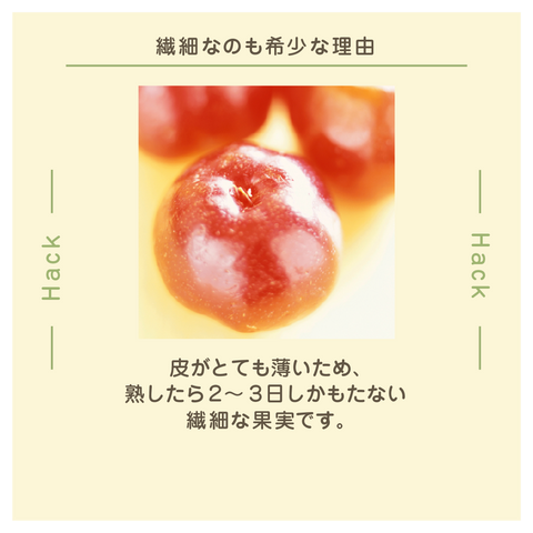きょうの豆知識