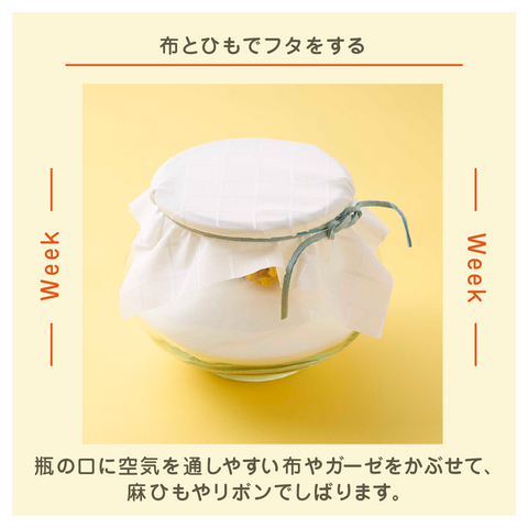 きょうの豆知識
