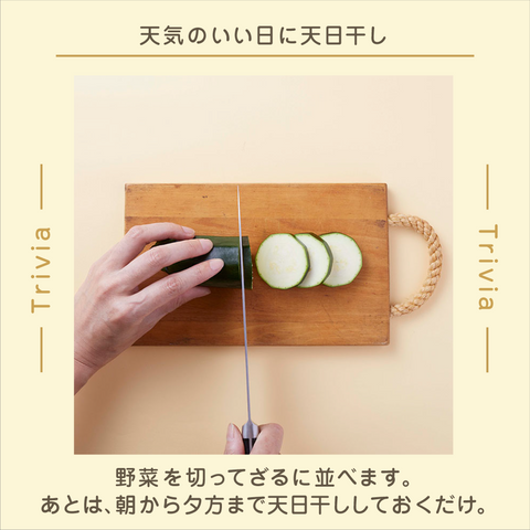 きょうの豆知識