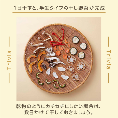 きょうの豆知識