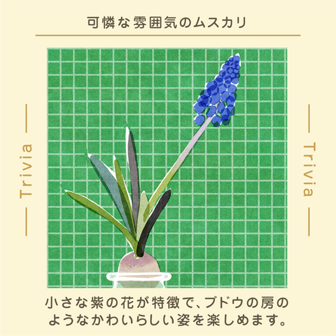 日めくりカレンダー | ミツカン365