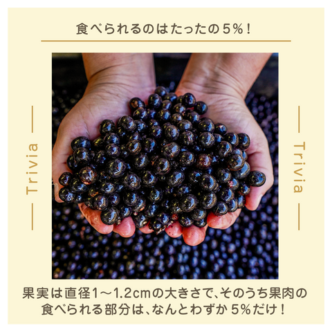 MMMG ミリメートル ミリグラム 日めくりカレンダー MMMG ミリメートル ミリグラム 日めくりカレンダー