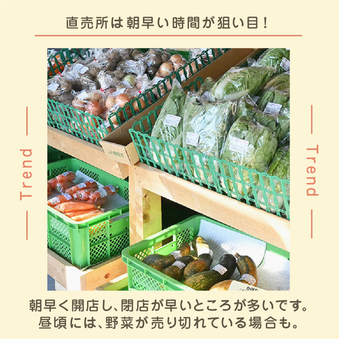 MMMG ミリメートル ミリグラム 日めくりカレンダー 2ページ目)ベージュ系の淡い色使いだけじゃない 個性的で、語彙