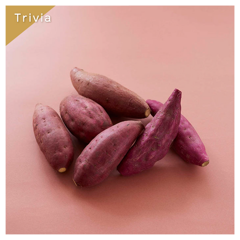 きょうの豆知識