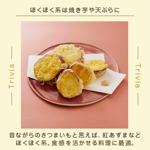 きょうの豆知識