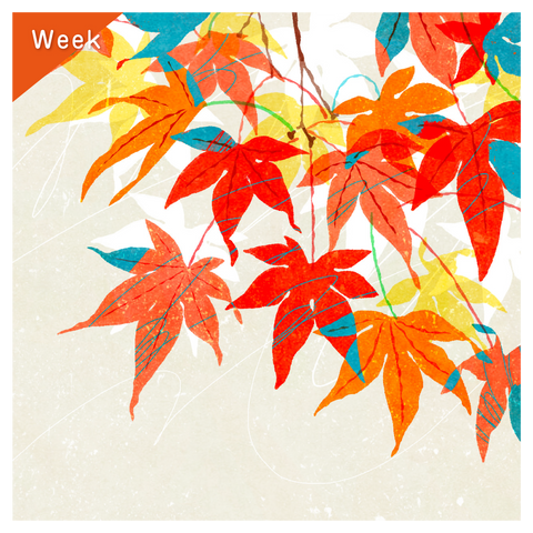 きょうの豆知識