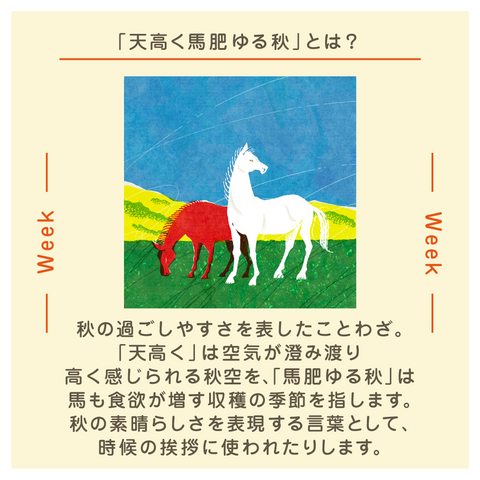 きょうの豆知識