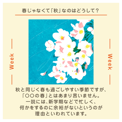 きょうの豆知識