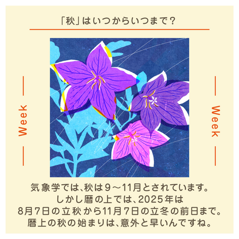 きょうの豆知識