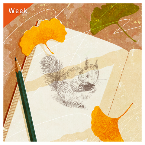 きょうの豆知識