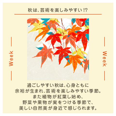 きょうの豆知識