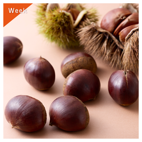 きょうの豆知識