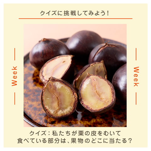 きょうの豆知識