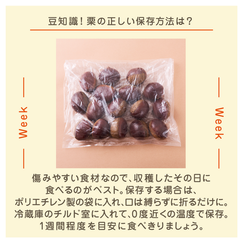 きょうの豆知識