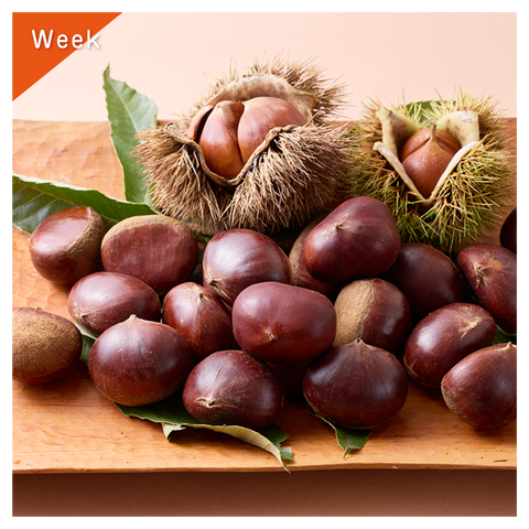 きょうの豆知識