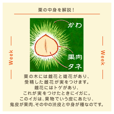 きょうの豆知識