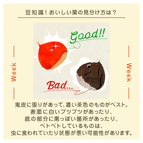 きょうの豆知識