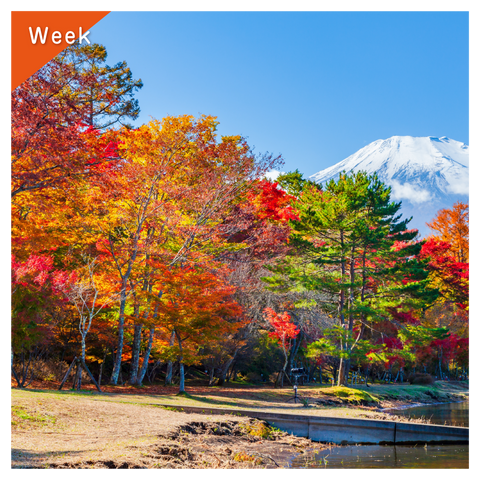 きょうの豆知識