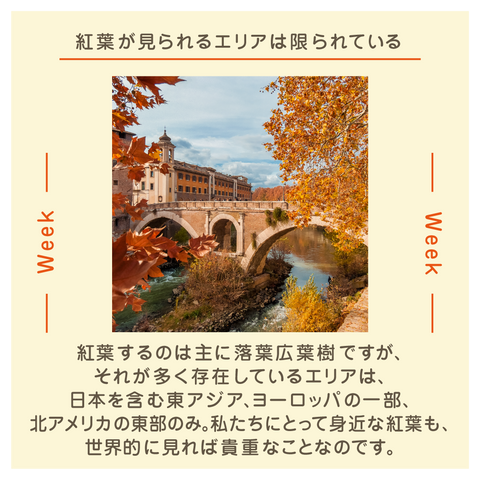 きょうの豆知識