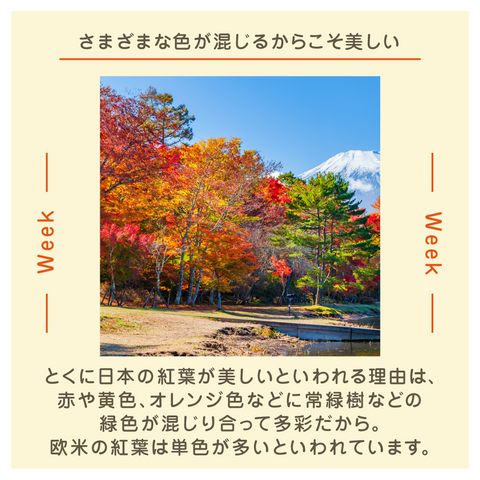 きょうの豆知識