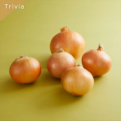 きょうの豆知識