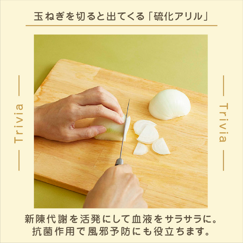 きょうの豆知識