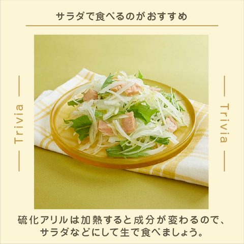 きょうの豆知識