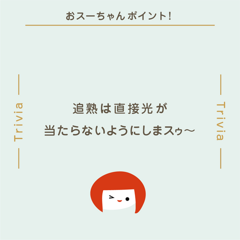 日めくりカレンダー | ミツカン365