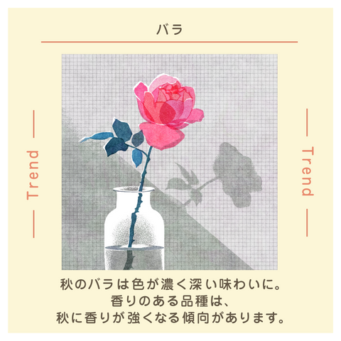 みつりページ（11月10日まで） 日めくりカレンダー | ミツカン365