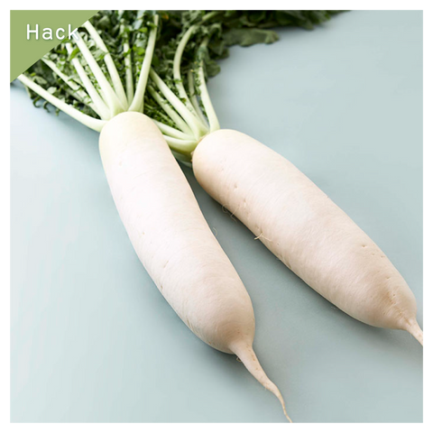 きょうの豆知識