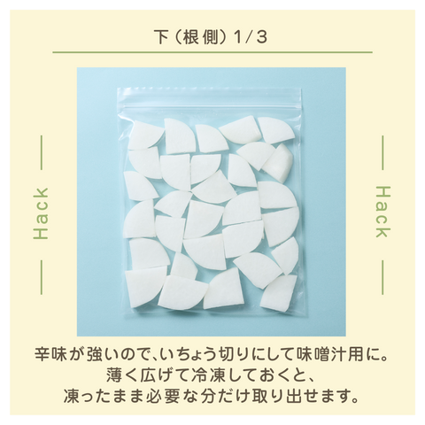 きょうの豆知識