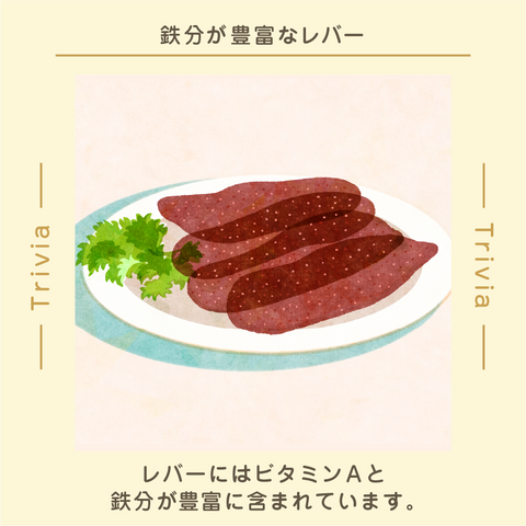 きょうの豆知識
