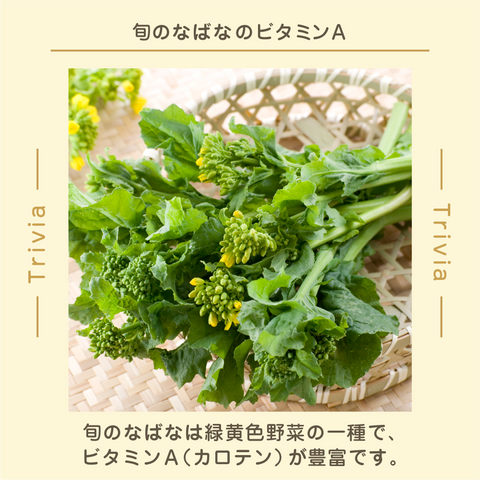 きょうの豆知識