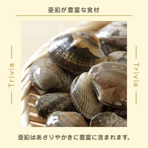 きょうの豆知識