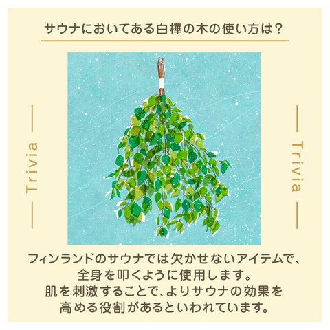 きょうの豆知識