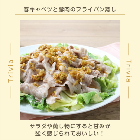 きょうの豆知識