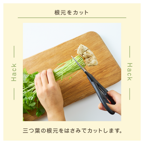 きょうの豆知識