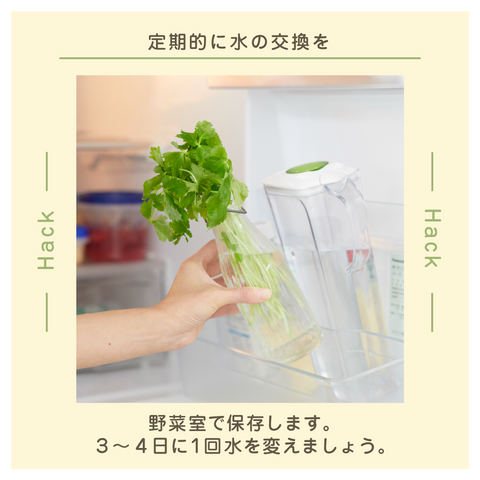 きょうの豆知識