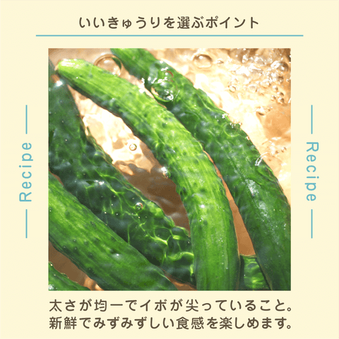 きょうの豆知識