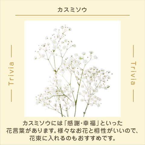 きょうの豆知識