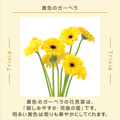 きょうの豆知識