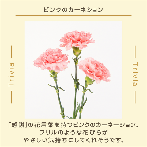 きょうの豆知識